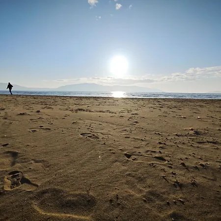 Vasil Gjika * Vlorë