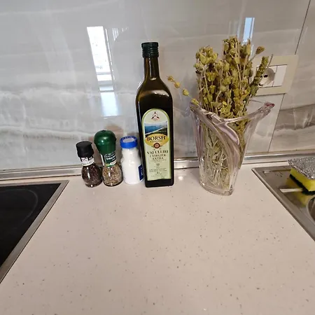 Apartment Vasil Gjika
