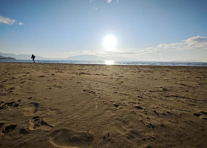 Vasil Gjika * Vlorë